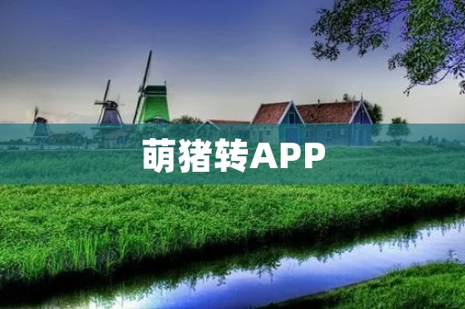 萌猪转APP:打造最萌宠物社交平台 萌猪转APP:打造最萌宠物社交平台