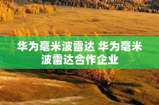 华为毫米波雷达 华为毫米波雷达合作企业 华为毫米波雷达 华为毫米波雷达合作企业