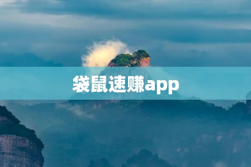袋鼠速赚app:快速赚钱的好帮手 袋鼠速赚app:快速赚钱的好帮手