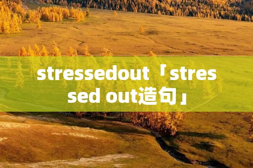 stressedout「stressed out造句」