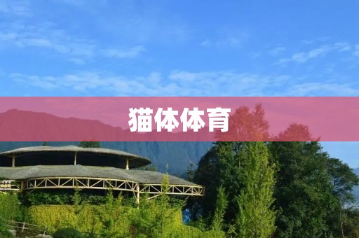 猫体体育:挑战极限,释放猫咪的运动天赋! 猫体体育:挑战极限,释放猫咪的运动天赋!