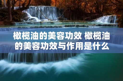 橄榄油的美容功效 橄榄油的美容功效与作用是什么