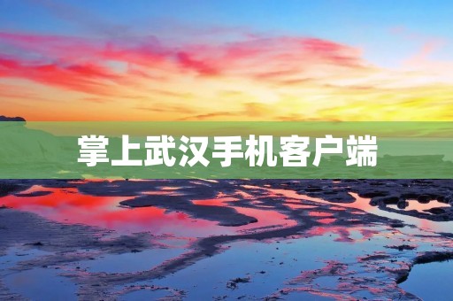 掌上武汉手机客户端：为您提供便捷的生活服务
