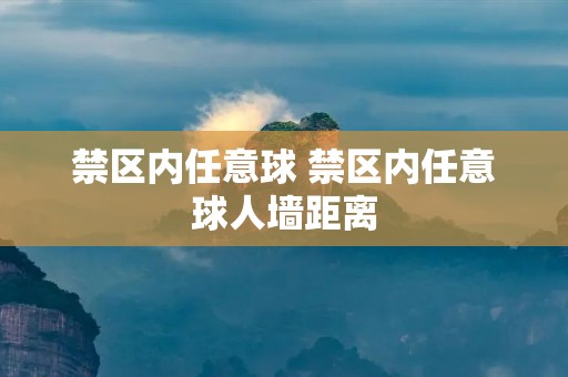 禁区内任意球 禁区内任意球人墙距离 禁区内任意球 禁区内任意球人墙距离
