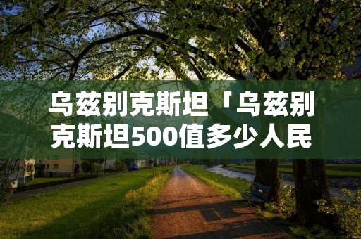 乌兹别克斯坦「乌兹别克斯坦500值多少人民币」