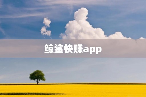 鲸鲨快赚app：轻松赚取额外收入的理想选择