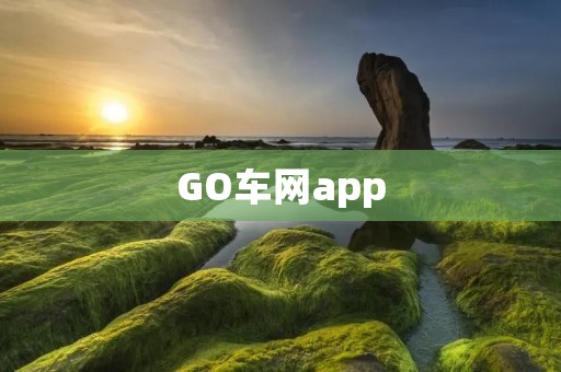 GO车网app：让您出行更便捷高效