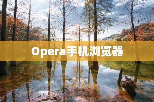 Opera手机浏览器:让你轻松畅游互联网 Opera手机浏览器:让你轻松畅游互联网