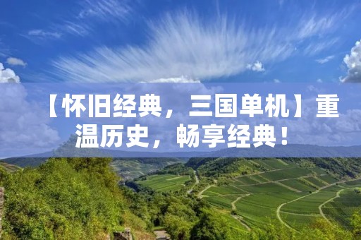 【怀旧经典，三国单机】重温历史，畅享经典！