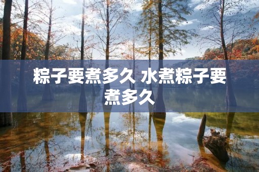 粽子要煮多久 水煮粽子要煮多久 粽子要煮多久 水煮粽子要煮多久