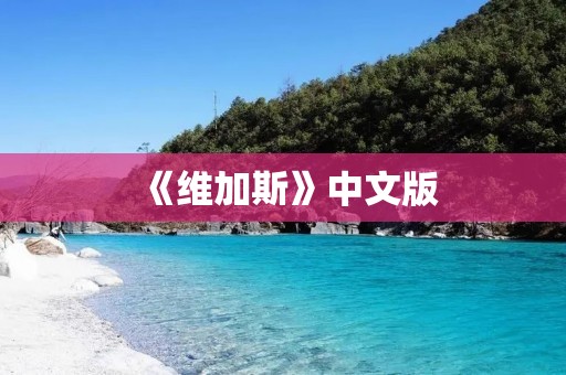 《维加斯》中文版：赌城风云再现