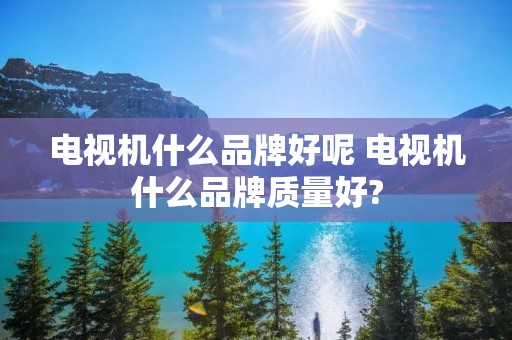 电视机什么品牌好呢 电视机什么品牌质量好? 电视机什么品牌好呢 电视机什么品牌质量好?