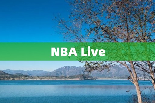 NBA Live：一款极具代表性的NBA篮球游戏