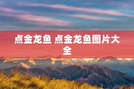 点金龙鱼 点金龙鱼图片大全