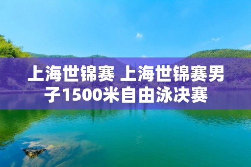 上海世锦赛 上海世锦赛男子1500米自由泳决赛 上海世锦赛 上海世锦赛男子1500米自由泳决赛