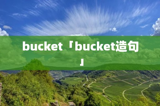 bucket「bucket造句」