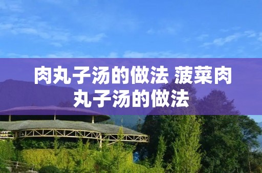 肉丸子汤的做法 菠菜肉丸子汤的做法