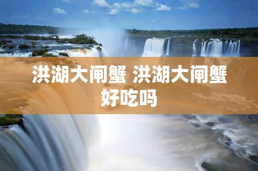 洪湖大闸蟹 洪湖大闸蟹好吃吗 洪湖大闸蟹 洪湖大闸蟹好吃吗