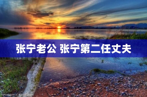 张宁老公 张宁第二任丈夫