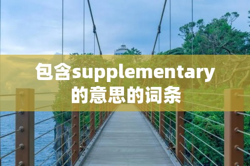 包含supplementary的意思的词条