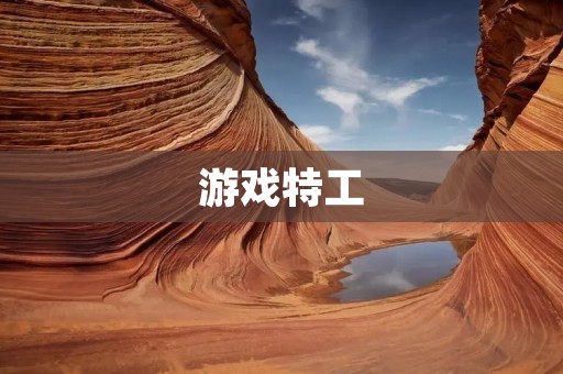 游戏特工：现实与虚拟的交错世界