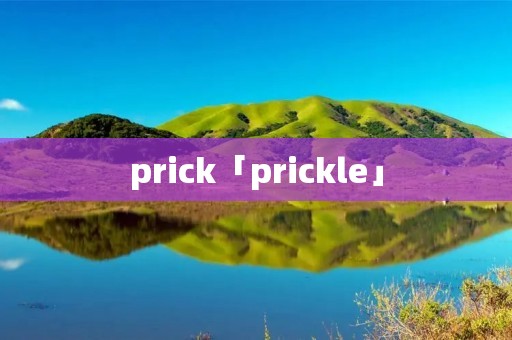 prick「prickle」