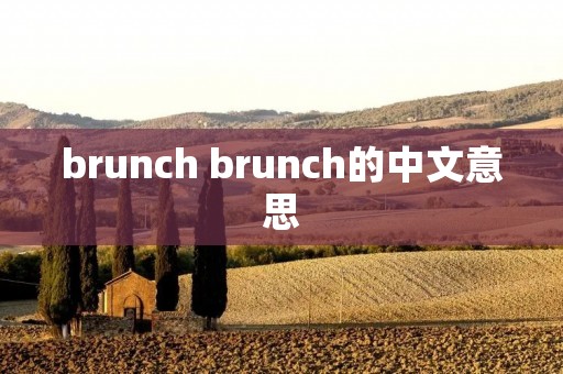 brunch brunch的中文意思