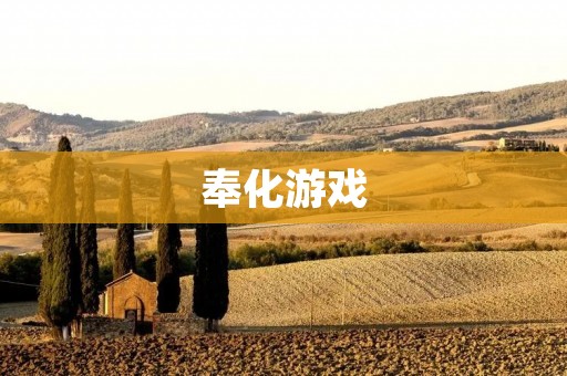 奉化游戏：探索历史文化与现代科技的完美融合
