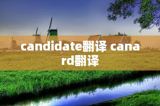 candidate翻译 canard翻译