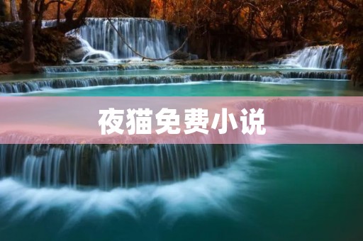 夜猫免费小说:探索无尽阅读乐趣 夜猫免费小说:探索无尽阅读乐趣