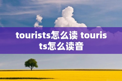 tourists怎么读 tourists怎么读音