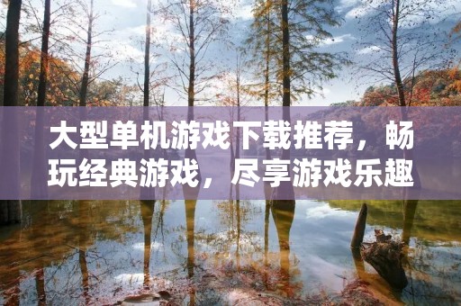 大型单机游戏下载推荐，畅玩经典游戏，尽享游戏乐趣！