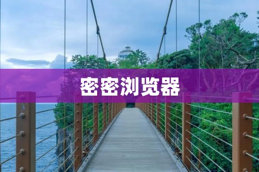 密密浏览器：保护您的隐私安全，畅享无忧上网体验