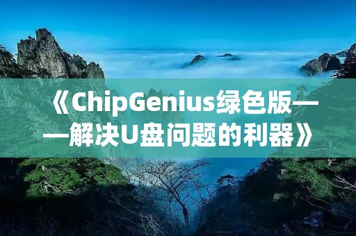 《ChipGenius绿色版——解决U盘问题的利器》