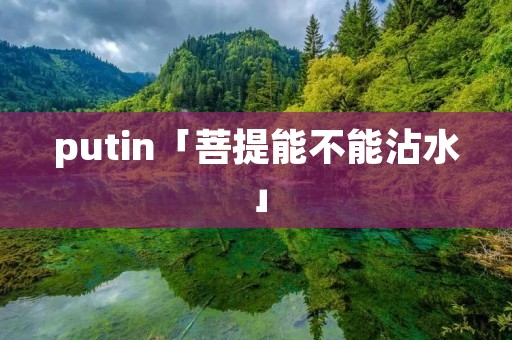 putin「菩提能不能沾水」 putin「菩提能不能沾水」