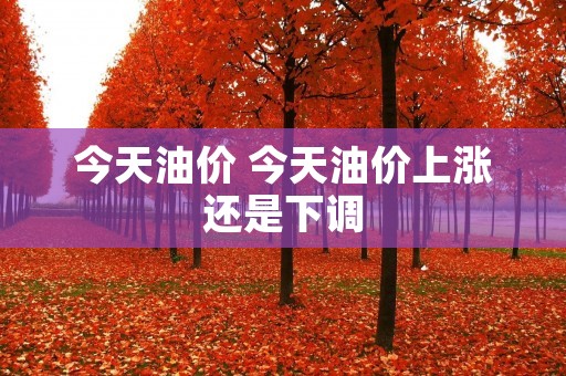 今天油价 今天油价上涨还是下调 今天油价 今天油价上涨还是下调