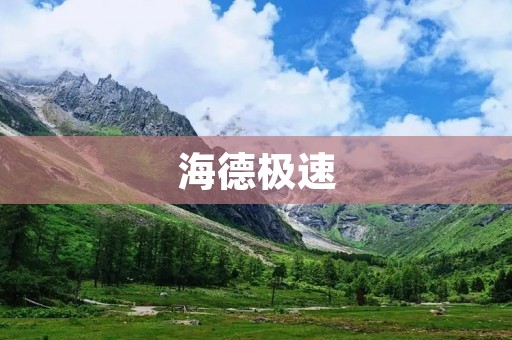 海德极速：领先的极速网络服务提供商