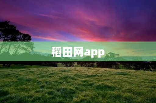 稻田网app:高效农田管理助手 稻田网app:高效农田管理助手