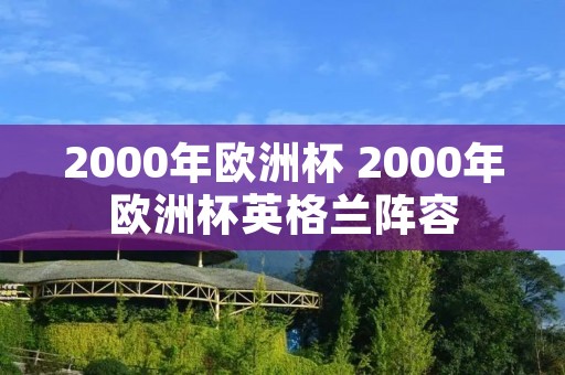 2000年欧洲杯 2000年欧洲杯英格兰阵容 2000年欧洲杯 2000年欧洲杯英格兰阵容