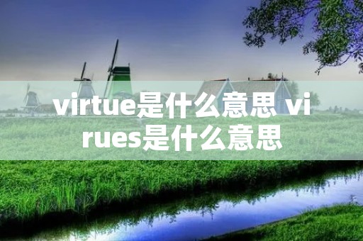 virtue是什么意思 virues是什么意思