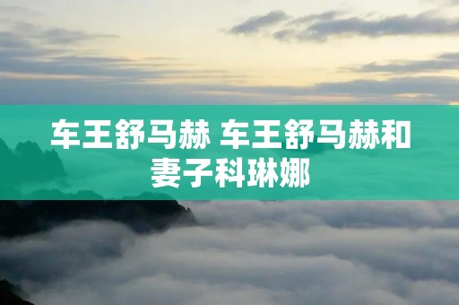 车王舒马赫 车王舒马赫和妻子科琳娜 车王舒马赫 车王舒马赫和妻子科琳娜