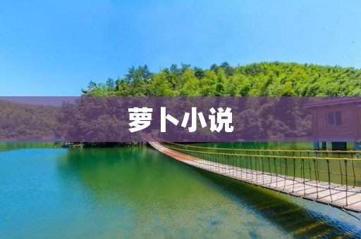 萝卜小说：一段充满惊喜与温暖的成长之旅