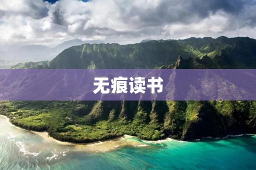 无痕读书:提高阅读效果的方法与技巧 无痕读书:提高阅读效果的方法与技巧