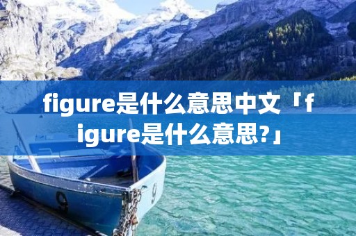 figure是什么意思中文「figure是什么意思?」