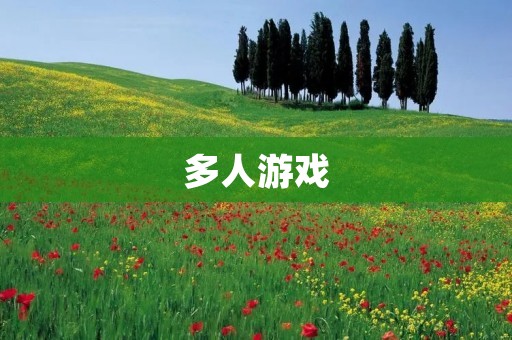 多人游戏:让你和朋友一起玩转游戏世界