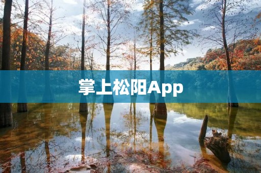 掌上松阳App:探索山水之美,畅享旅行新体验 掌上松阳App:探索山水之美,畅享旅行新体验
