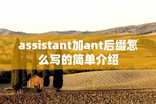 assistant加ant后缀怎么写的简单介绍