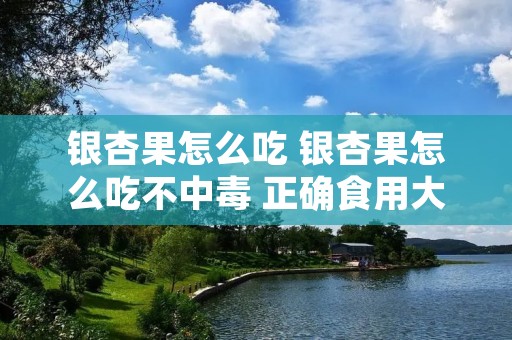 银杏果怎么吃 银杏果怎么吃不中毒 正确食用大妙招 银杏果怎么吃 银杏果怎么吃不中毒 正确食用大妙招