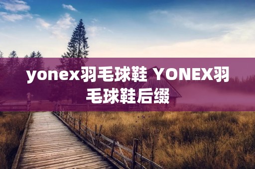 yonex羽毛球鞋 YONEX羽毛球鞋后缀 yonex羽毛球鞋 YONEX羽毛球鞋后缀