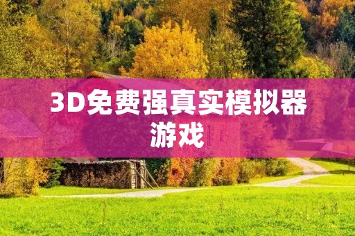 3D免费强真实模拟器游戏：让你身临其境的游戏体验